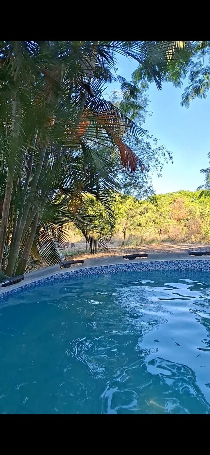 Alberca privada rodeada de palmeras