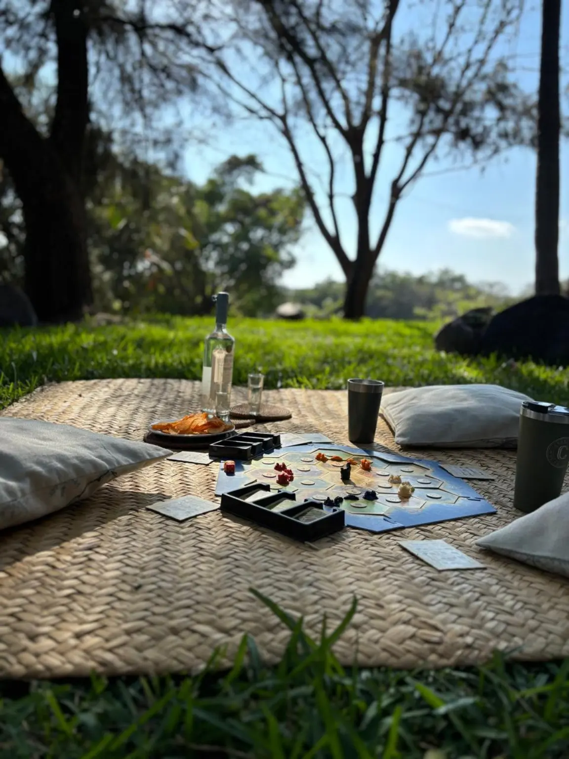 Picnic preparado sobre el jardín