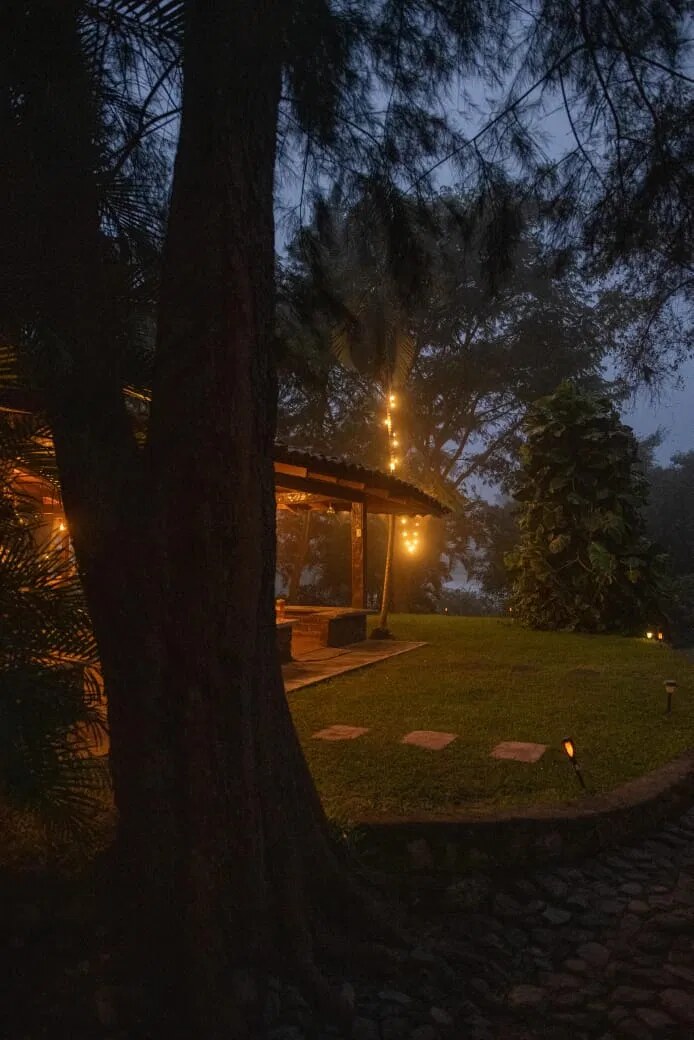Jardín de noche con luces